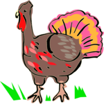 Turkey 09 Clip Art