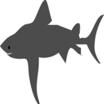 Shark 02 Clip Art