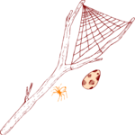Spider Web Slingshot Clip Art