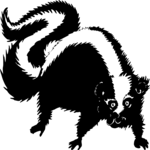 Skunk 3 Clip Art