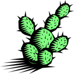 Cactus 03 Clip Art