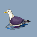Seagull 13 Clip Art