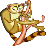 Lemur 1 Clip Art