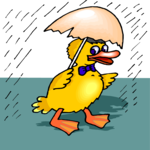 Duck in Rain 4 Clip Art