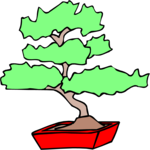 Bonsai Tree 2 Clip Art