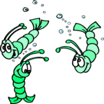 Shrimp Clip Art