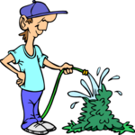 Watering Bush Clip Art