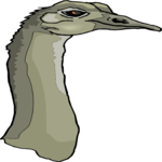 Ostrich 11 Clip Art