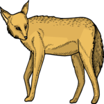 Hyena 5 Clip Art