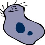 Amoeba 1 Clip Art