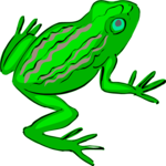 Frog 05 Clip Art