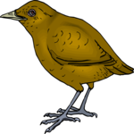 Bird 155 Clip Art