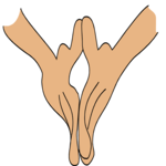 Fingers Touching 2 Clip Art