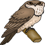 Tawny Frogmouth Clip Art