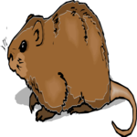 Coypu 2 Clip Art