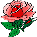 Rose 74 Clip Art