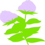 Flowers 029 Clip Art