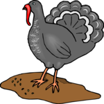 Turkey 5 Clip Art