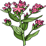 Flower 327 Clip Art