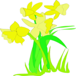 Daffodils 1 Clip Art