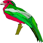 Bird 206 Clip Art