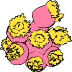 Coral 16 Clip Art