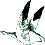 Bird 226 Clip Art