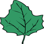 Leaf 095 Clip Art