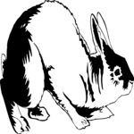 Rabbit Clip Art