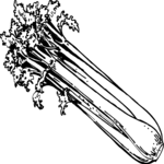 Celery 01 Clip Art