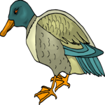 Duck 48 Clip Art