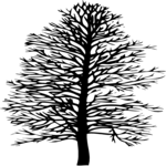 Tree 015 Clip Art