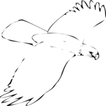 Eagle 35 Clip Art