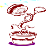 Venus's-Flytrap 2 Clip Art