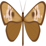 Moth 25 Clip Art