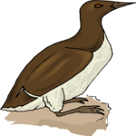 Murlet Clip Art