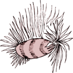 Nudibranch 2 Clip Art