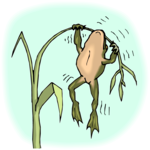 Frog Hanging Clip Art