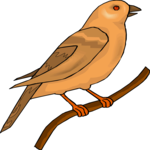 Bird 208 Clip Art