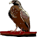 Eagle 74 Clip Art