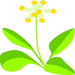 Flower 021 Clip Art