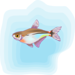 Tetra - Head & Tail Light  Clip Art