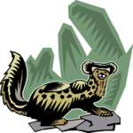 Ferret 3 Clip Art