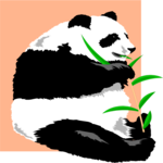 Panda 01 Clip Art