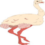 Ostrich 05 Clip Art