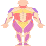 Body 6 Clip Art