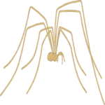 Spider 06 Clip Art