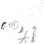 Chicken 06 Clip Art