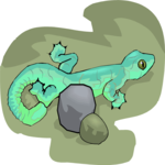 Lizard 12 Clip Art