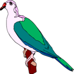 Dove 13 Clip Art